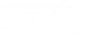 Логотип белый